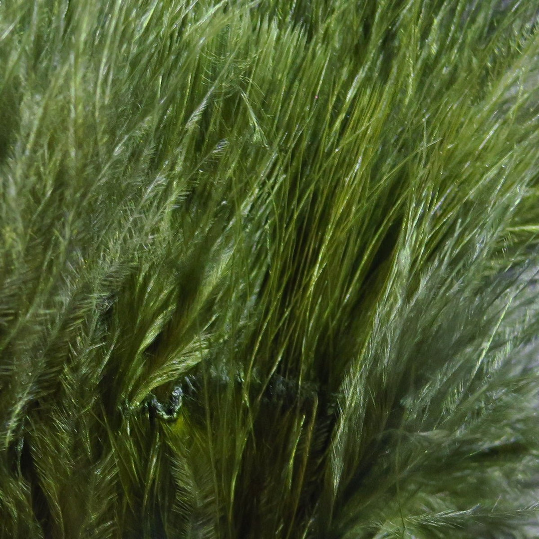 Hareline Marabou Blood Quills | Tailwaters Fly Fishing