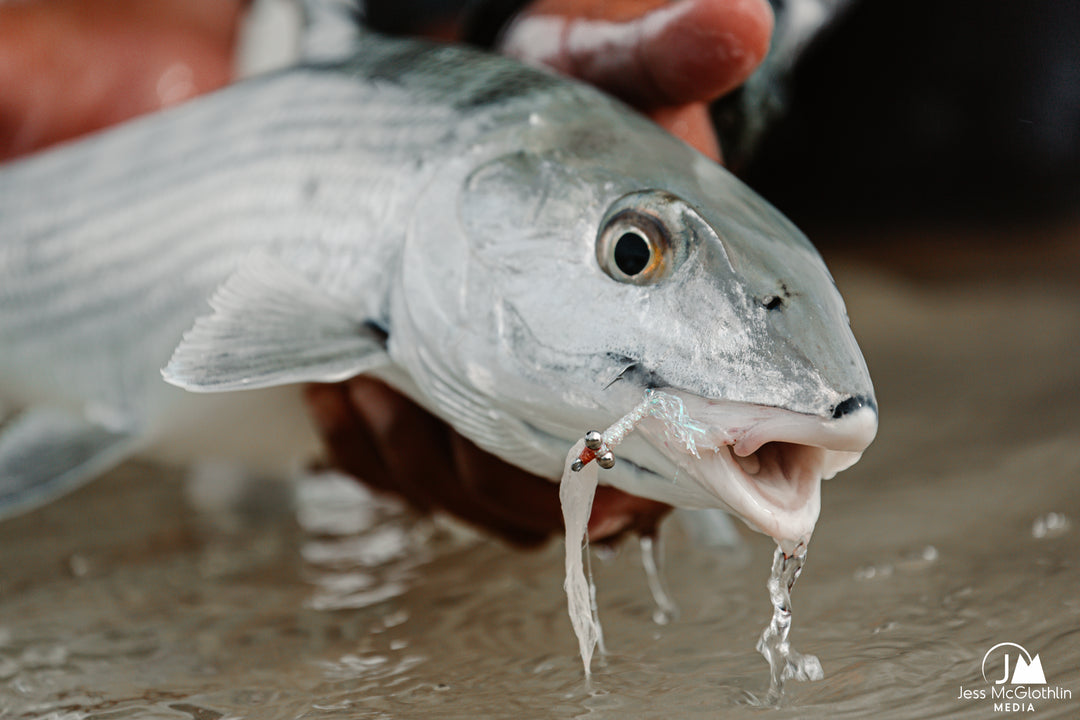 Belize - Ambergris Caye Custom Fly Selection | Tailwaters Fly Fishing