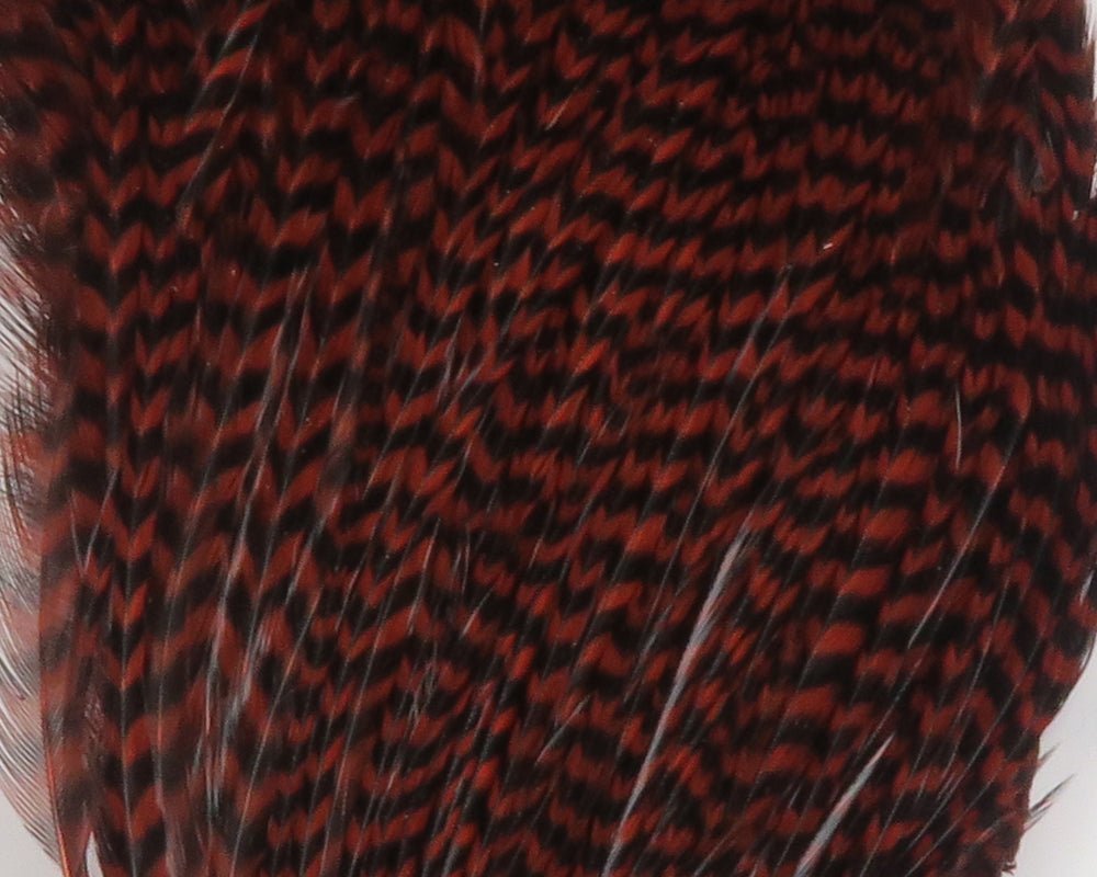 Hareline Dry Neck Chunks | Tailwaters Fly Fishing