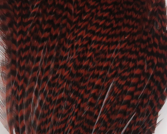 Hareline Dry Neck Chunks | Tailwaters Fly Fishing