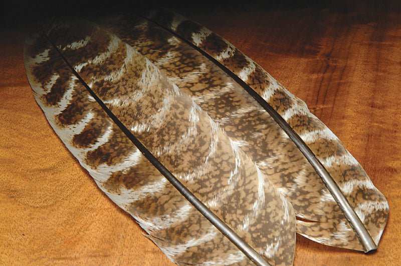 Hareline ozark Oak Mottled Turkey Quills | Tailwaters Fly Fishing