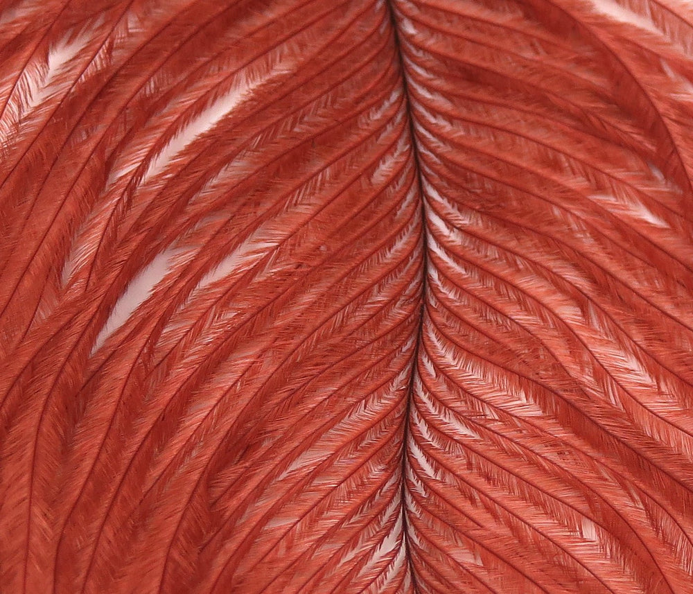 Hareline Ostrich Plume | Tailwaters Fly Fishing