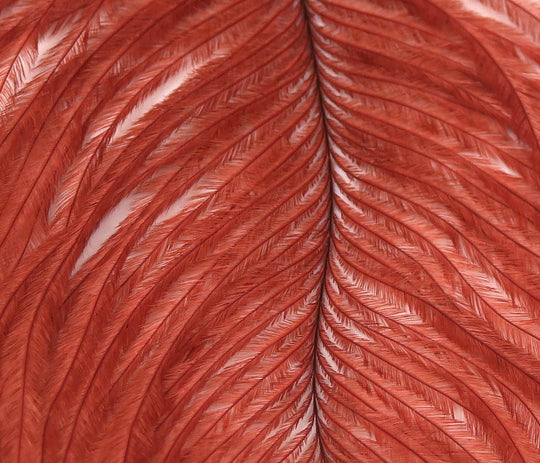 Hareline Ostrich Plume | Tailwaters Fly Fishing