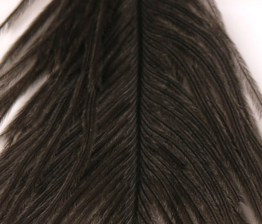Hareline Ostrich Plume