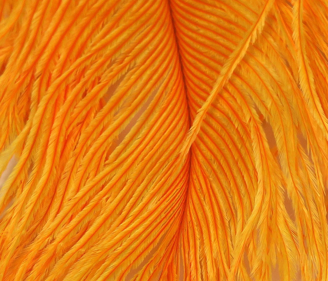 Hareline Ostrich Plume | Tailwaters Fly Fishing