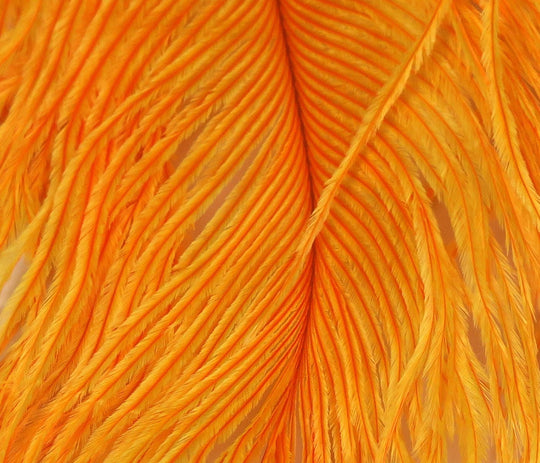 Hareline Ostrich Plume | Tailwaters Fly Fishing
