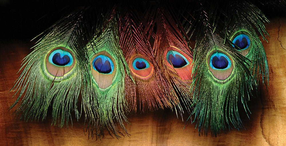 Hareline Peacock Eyed Sticks | Tailwaters Fly Fishing