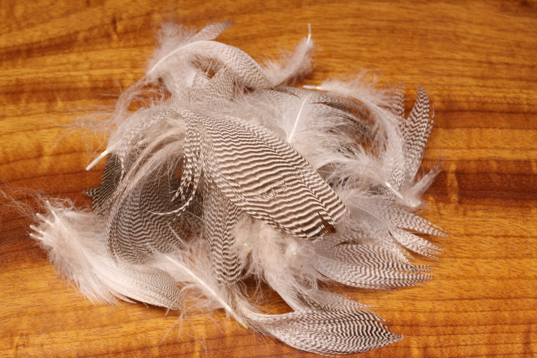Hareline Pintail Flank Feathers | Tailwaters Fly Fishing