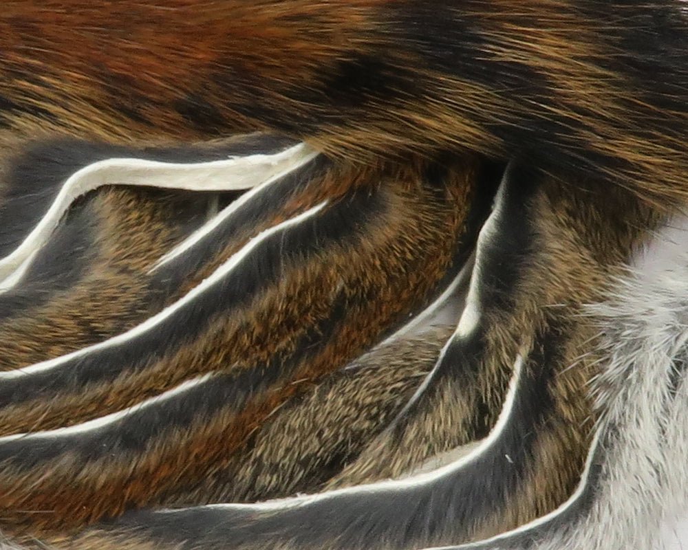 Hareline Complete Micro Stripped Pine Squirrel Hide | Tailwaters Fly Fishing