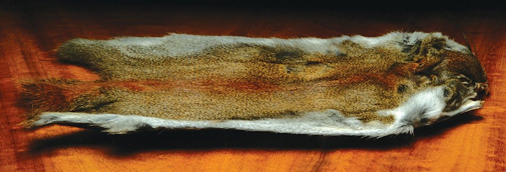 Hareline Pine Squirrel Skins | Tailwaters Fly Fishing