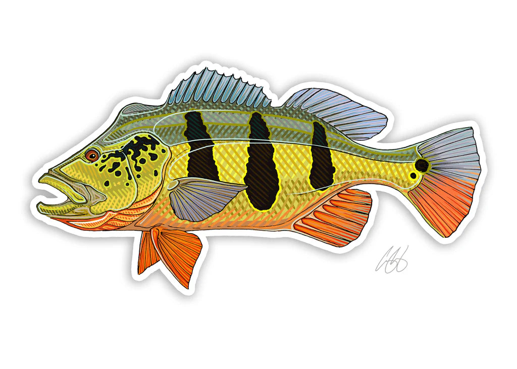 Casey Underwood Peackock Bass | Tailwaters Fly Fishing