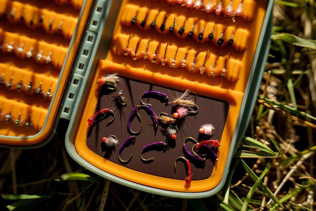 Fishpond Tacky Pescador Fly Box | Tailwaters Fly Fishing
