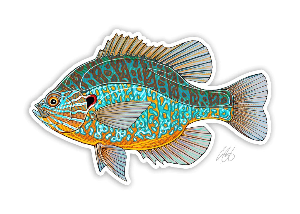 Casey Underwood Pumpkinseed Decal | Tailwaters Fly Fishing