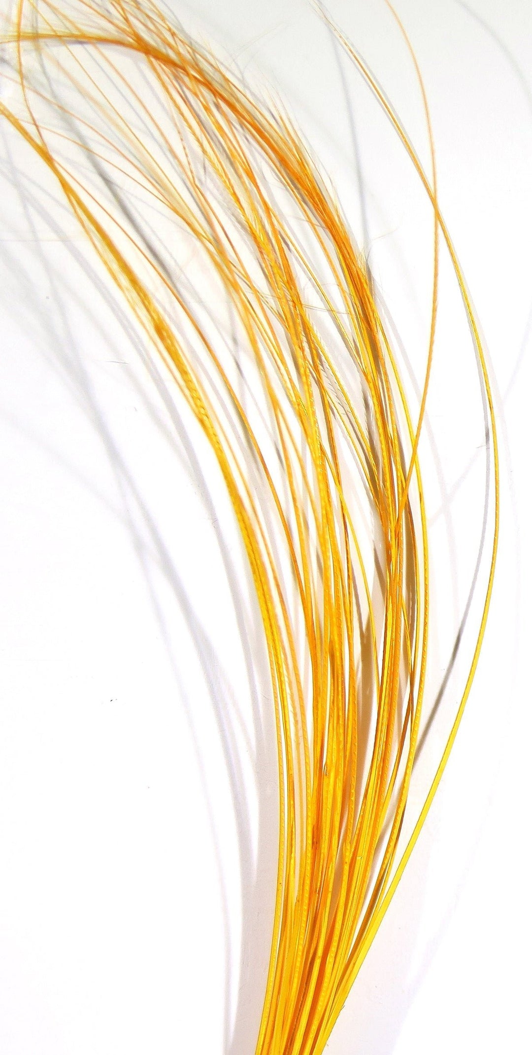 Hareline Quill Body | Tailwaters Fly Fishing