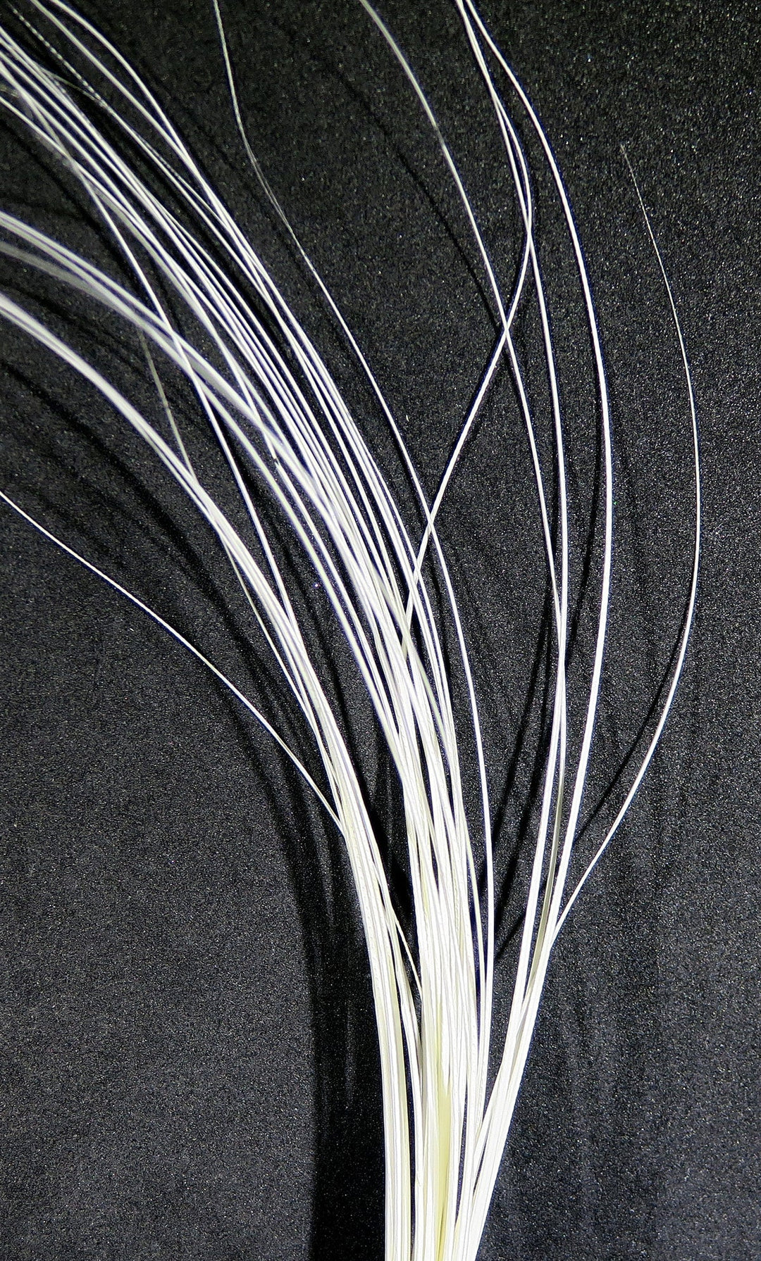 Hareline Quill Body | Tailwaters Fly Fishing