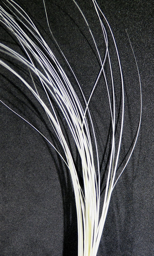 Hareline Quill Body | Tailwaters Fly Fishing