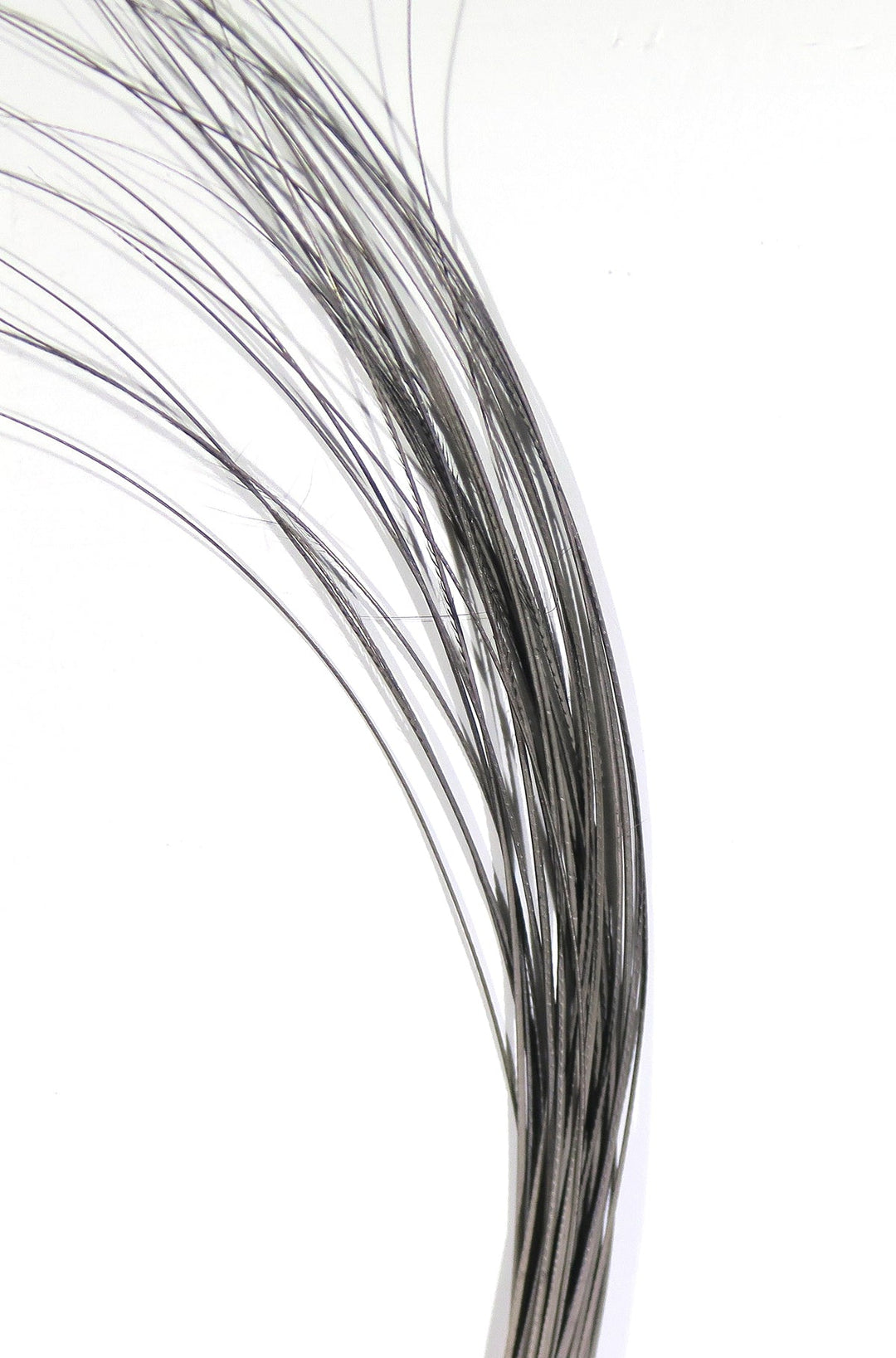 Hareline Quill Body | Tailwaters Fly Fishing