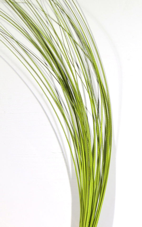 Hareline Quill Body | Tailwaters Fly Fishing