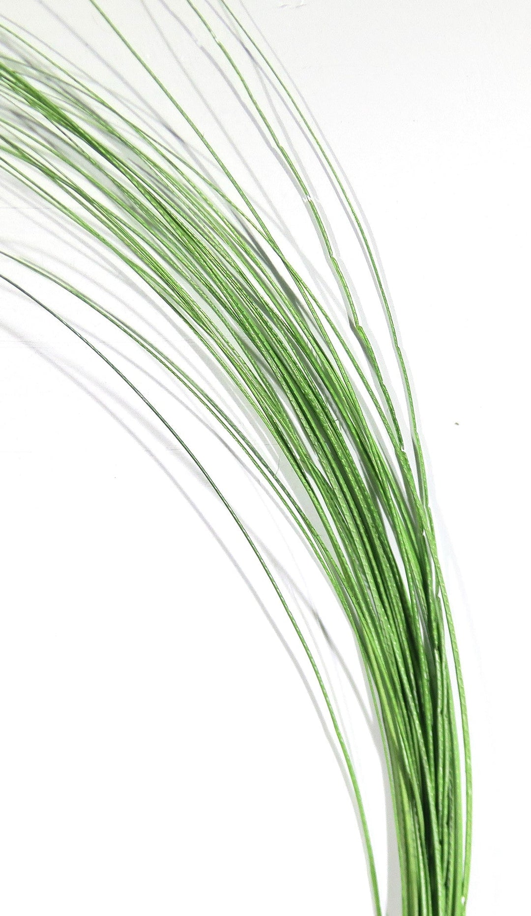 Hareline Quill Body | Tailwaters Fly Fishing