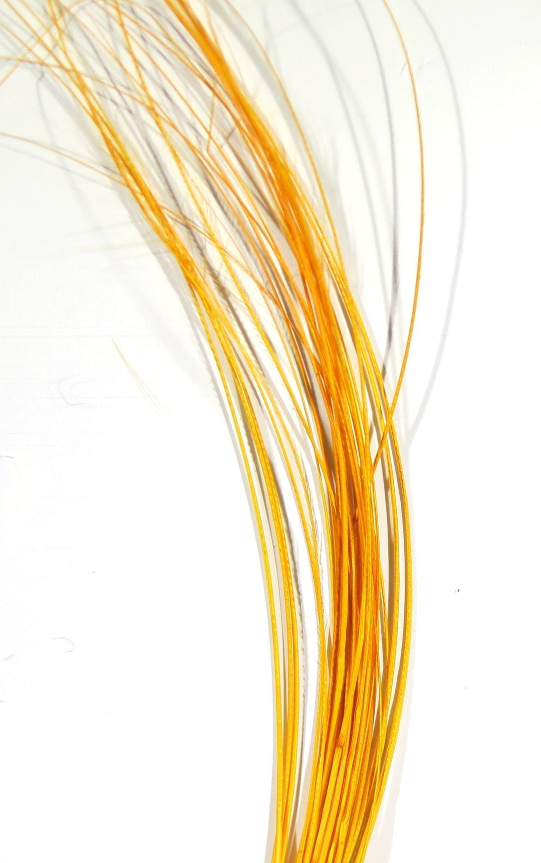 Hareline Quill Body | Tailwaters Fly Fishing