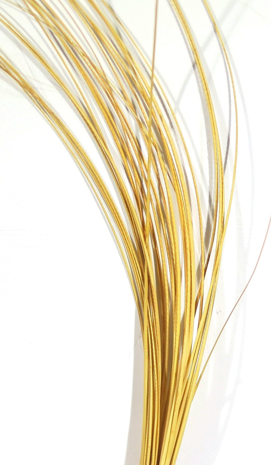 Hareline Quill Body | Tailwaters Fly Fishing