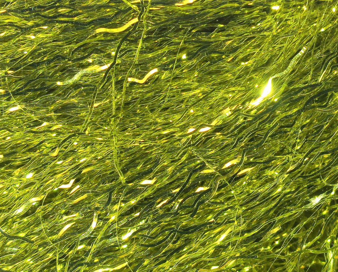 Hareline Ripple Ice Fiber | Tailwaters Fly Fishing