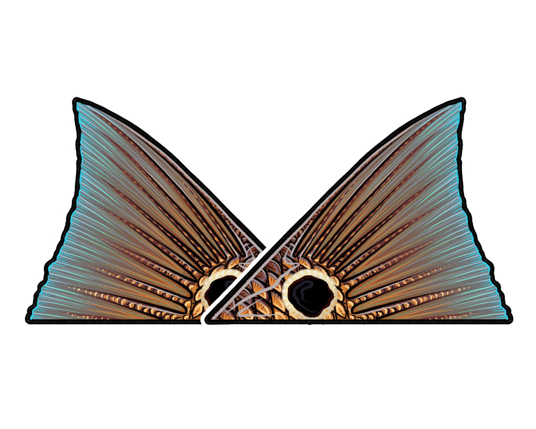 Casey Underwood Redfish Tail Decal | Tailwaters Fly Fishing
