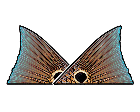 Casey Underwood Redfish Tail Decal | Tailwaters Fly Fishing