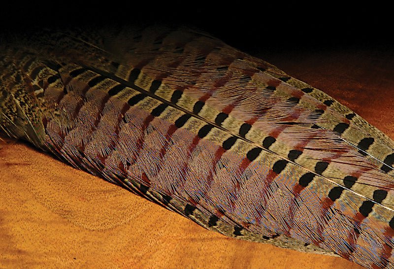 Hareline Ringneck Pheasant Complete Tail Clump