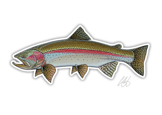 Casey Underwood Rainbow Trout Decal, Display