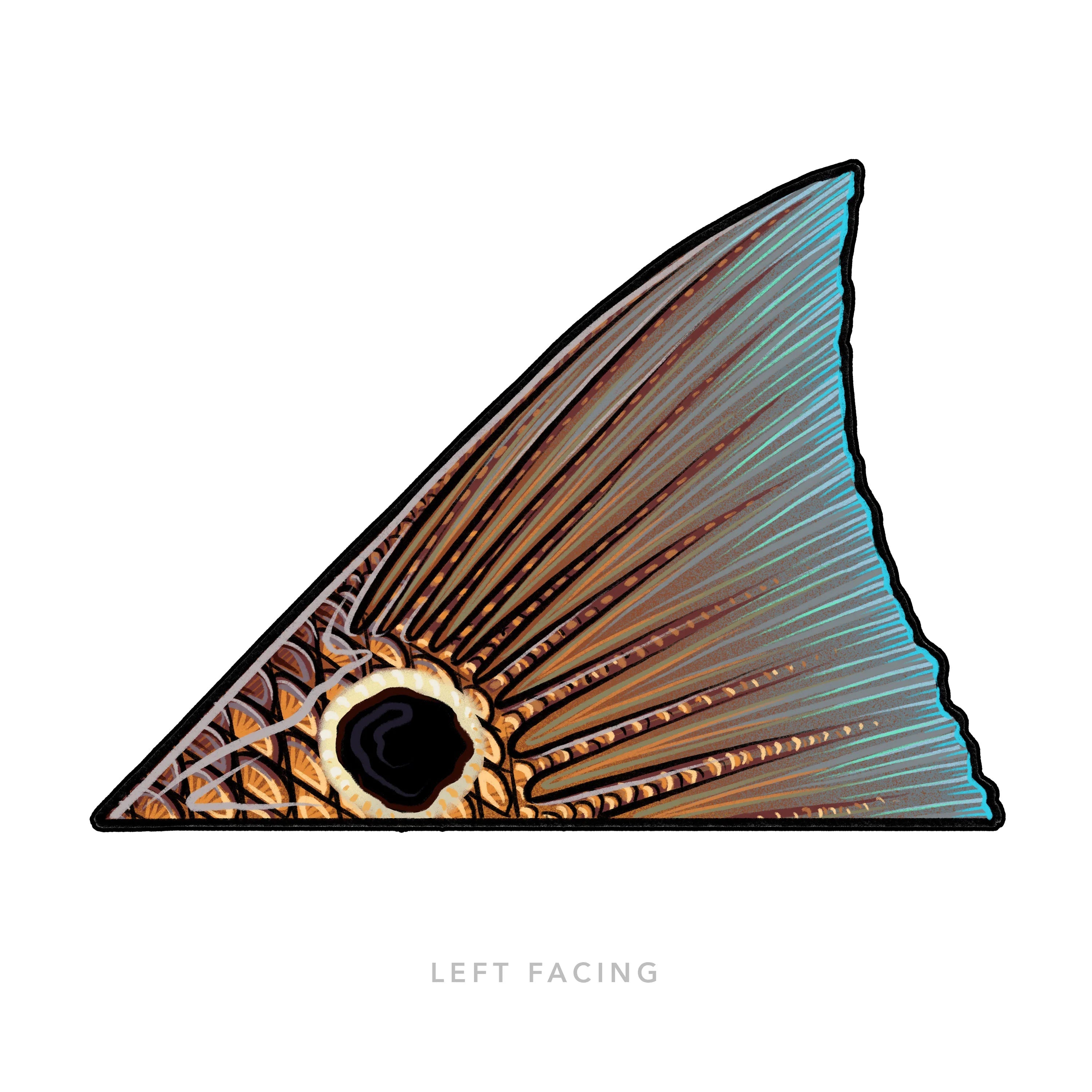 Casey Underwood Redfish Tail Decal | Tailwaters Fly Fishing