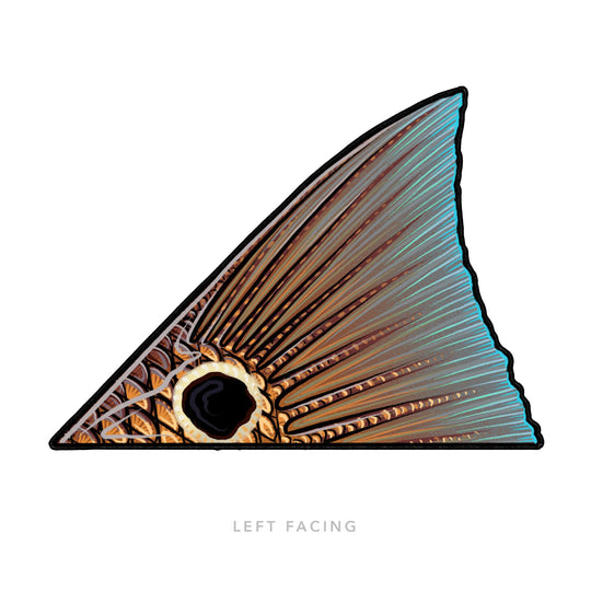 Casey Underwood Redfish Tail Decal | Tailwaters Fly Fishing