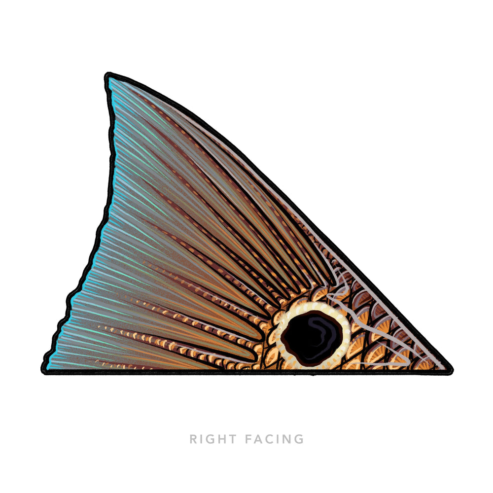 Casey Underwood Redfish Tail Decal | Tailwaters Fly Fishing