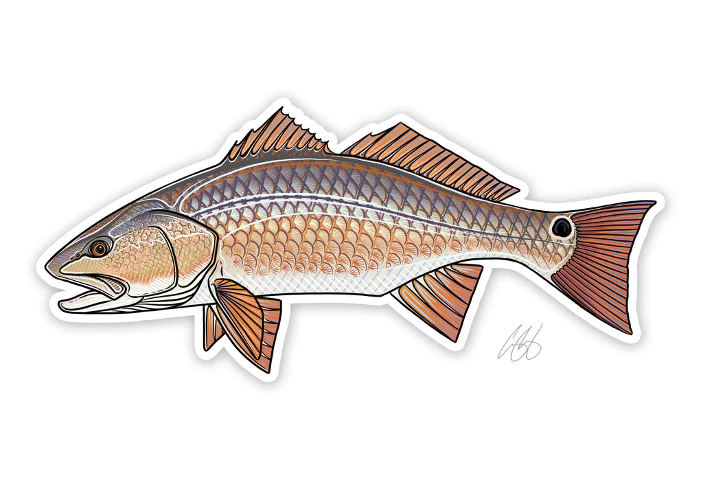 Casey Underwood Redfish Decal | Tailwaters Fly Fishing