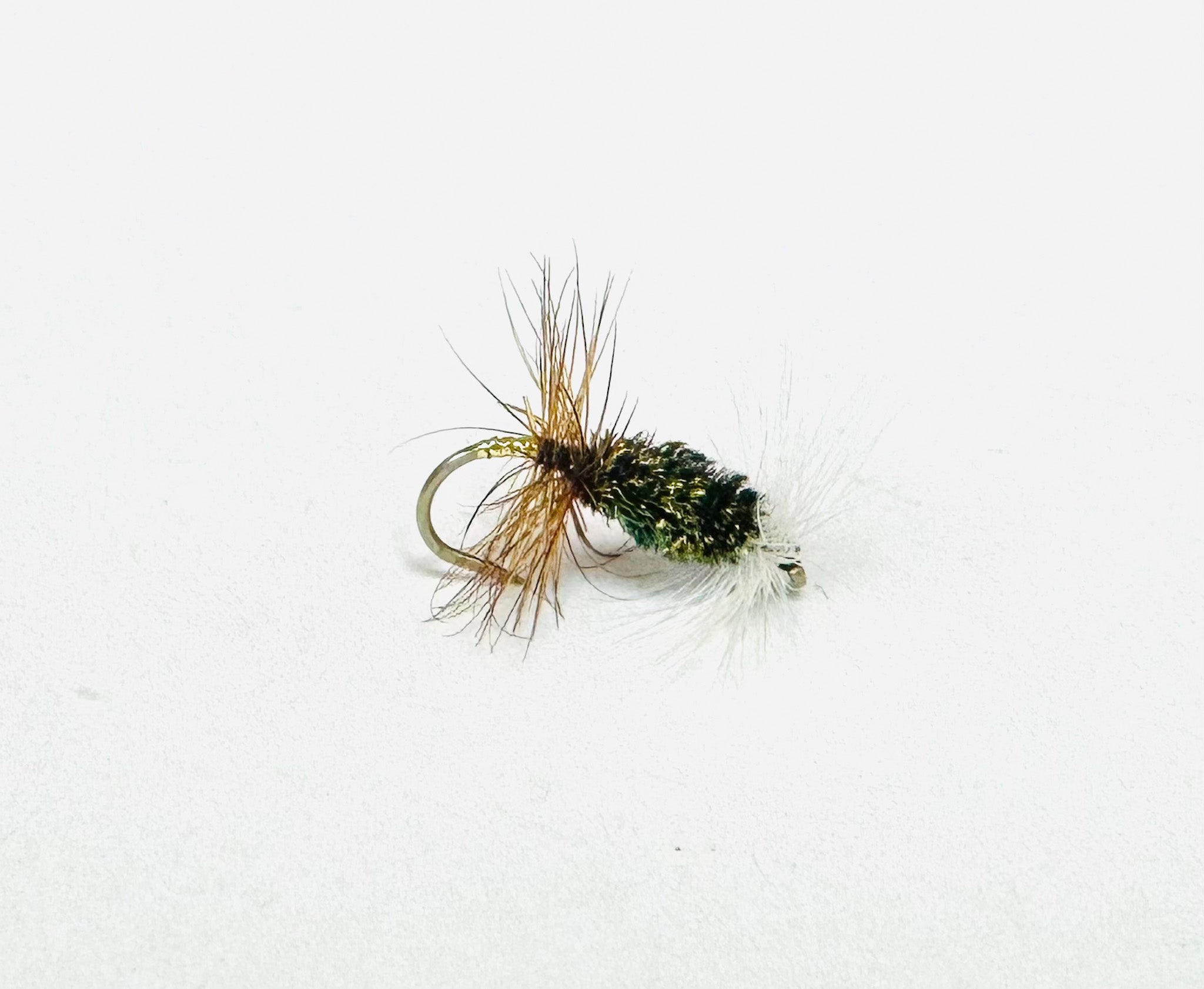 RENEGADE | Tailwaters Fly Fishing
