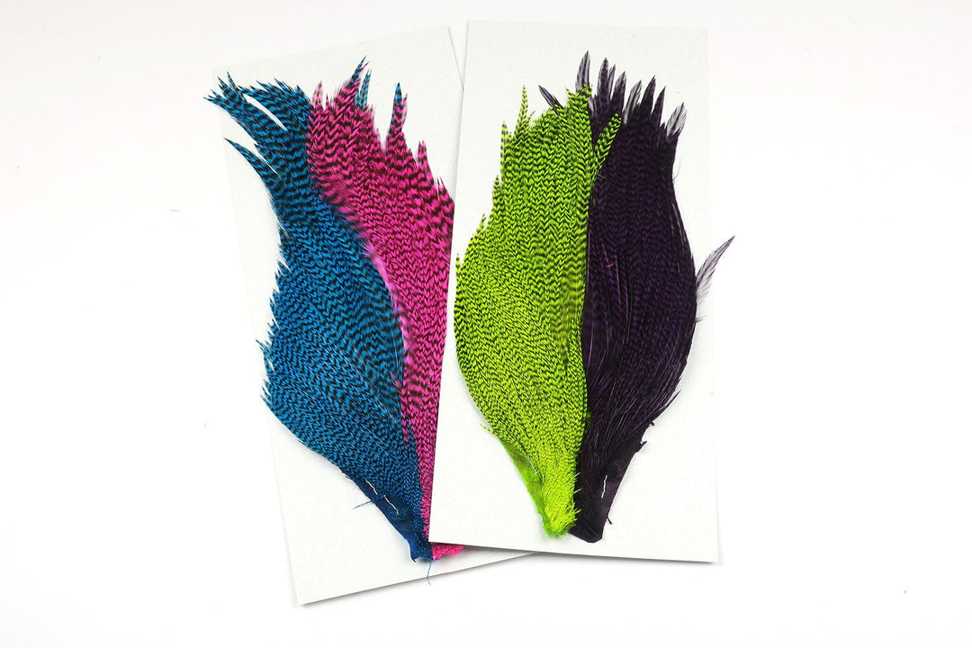 Hareline Tyers 4 Color Dyed Grizzly Salmon Steelhead Starter Cape Set | Tailwaters Fly Fishing