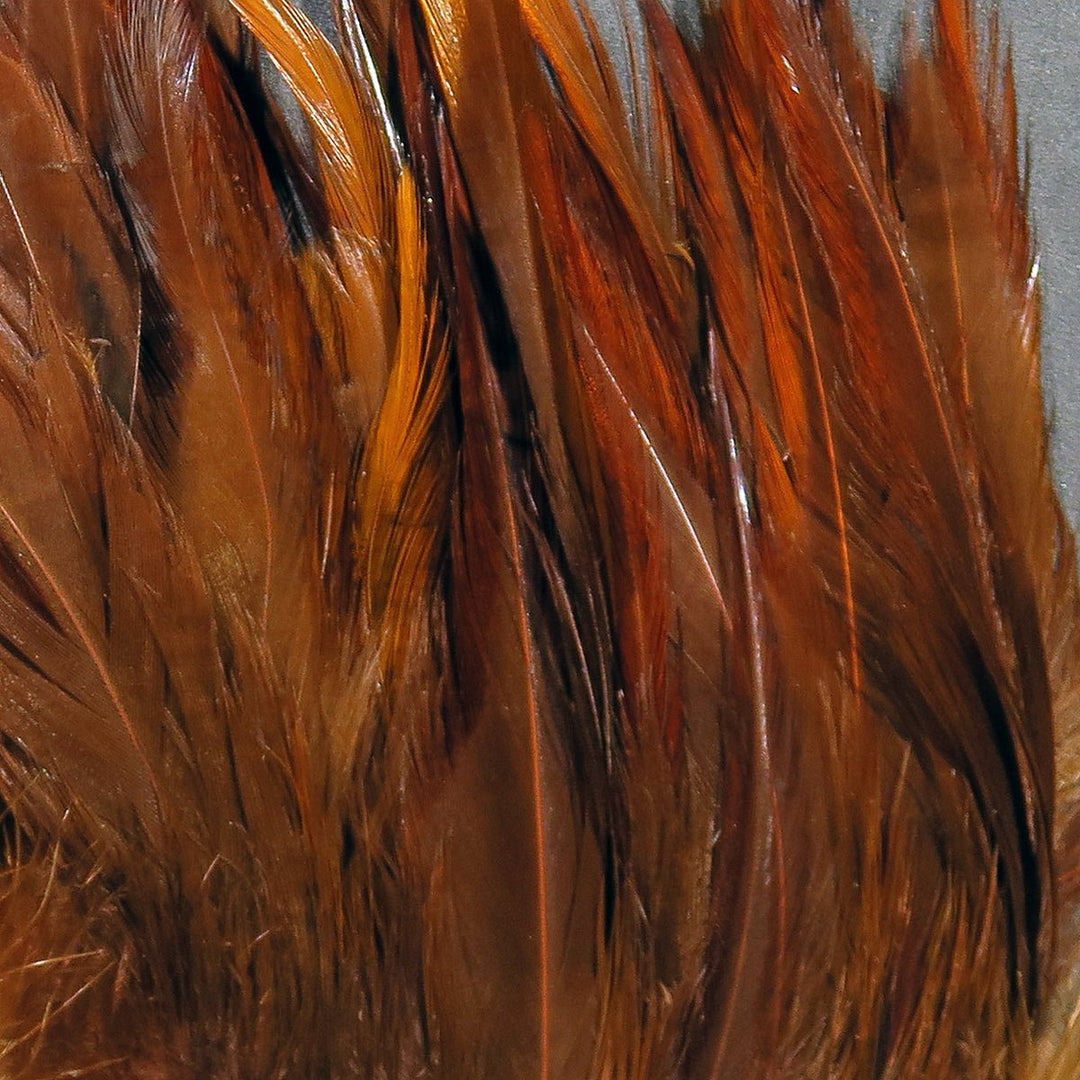 Hareline Strung Chinese Saddle | Tailwaters Fly Fishing