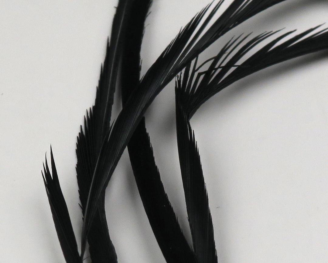 Hareline Stripped Goose Biots | Tailwaters Fly Fishing