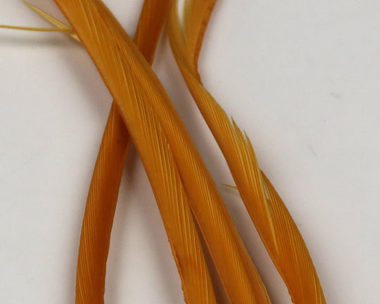 Hareline Stripped Goose Biots | Tailwaters Fly Fishing