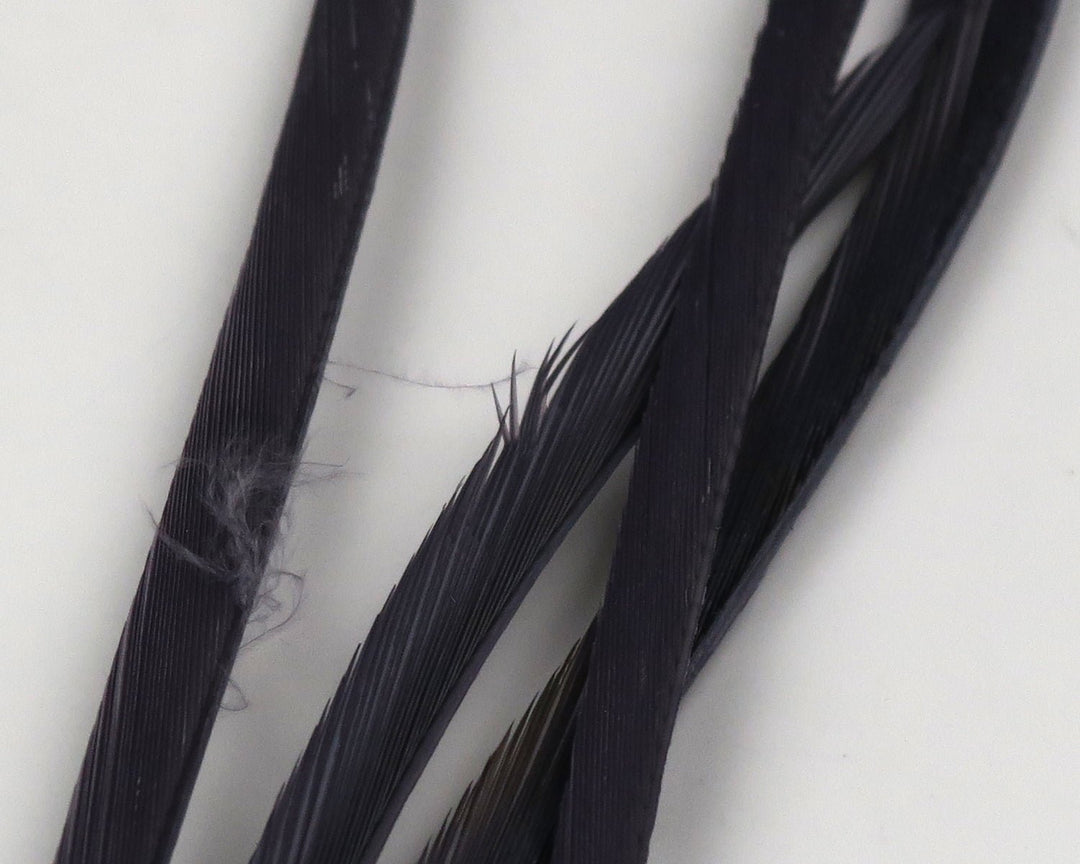 Hareline Stripped Goose Biots | Tailwaters Fly Fishing