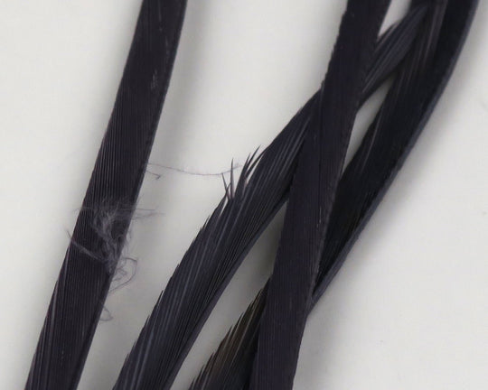 Hareline Stripped Goose Biots | Tailwaters Fly Fishing