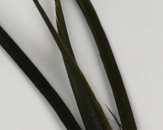 Hareline Stripped Goose Biots | Tailwaters Fly Fishing