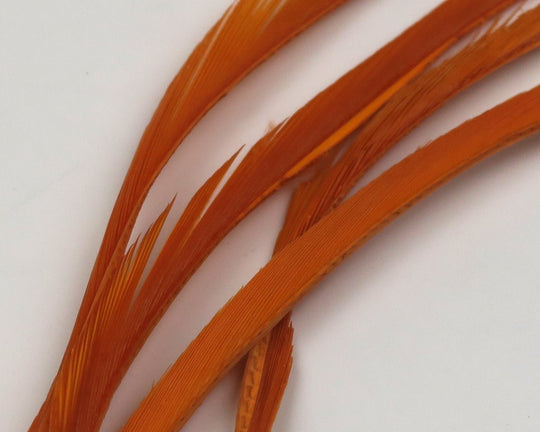 Hareline Stripped Goose Biots | Tailwaters Fly Fishing
