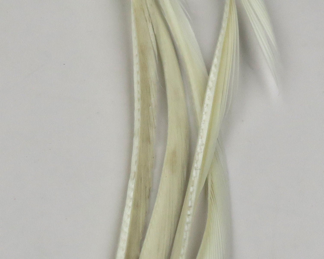 Hareline Stripped Goose Biots | Tailwaters Fly Fishing