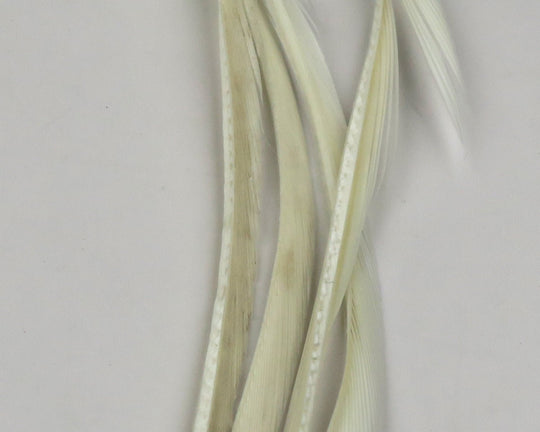 Hareline Stripped Goose Biots | Tailwaters Fly Fishing