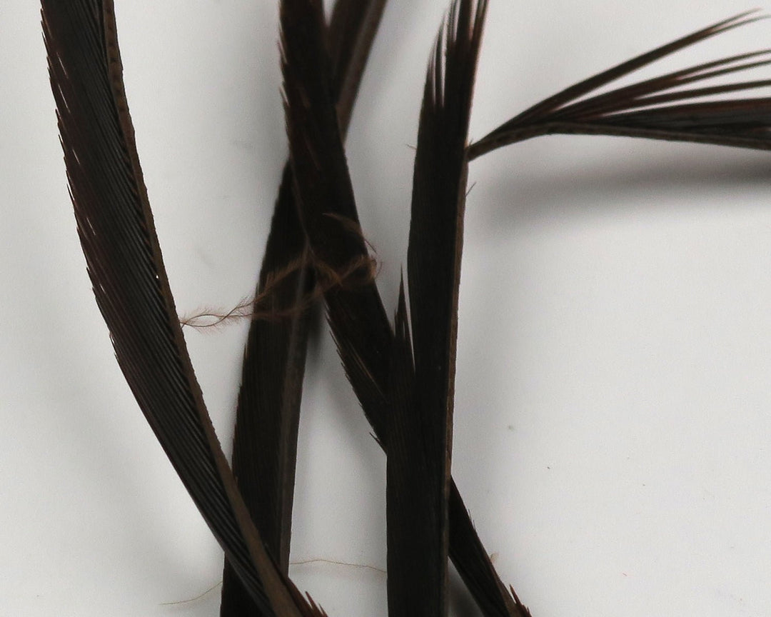 Hareline Stripped Goose Biots | Tailwaters Fly Fishing