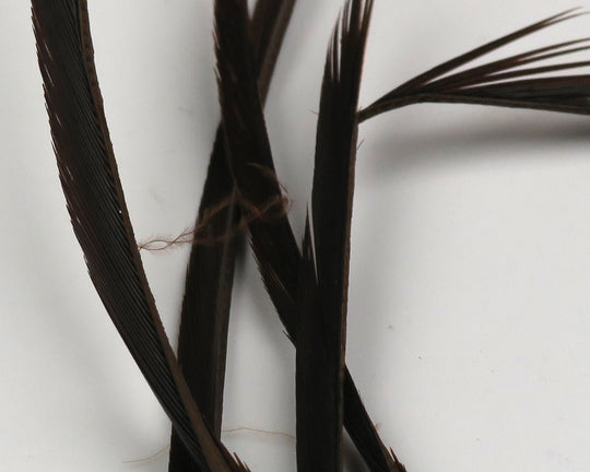 Hareline Stripped Goose Biots | Tailwaters Fly Fishing