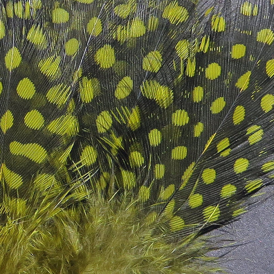 Hareline Strung Guinea Feathers | Tailwaters Fly Fishing