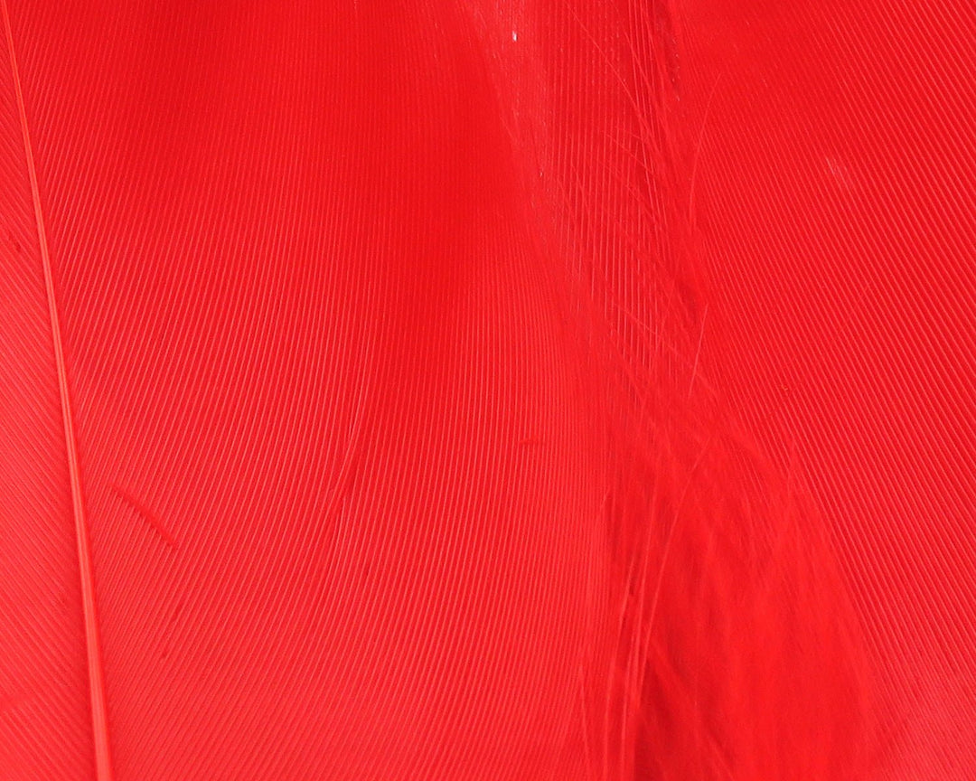 Hareline Select Goose Shoulder