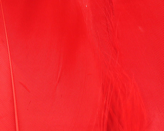 Hareline Select Goose Shoulder